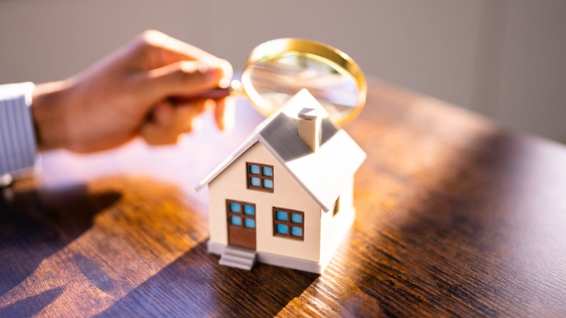 מתווכים בת ים